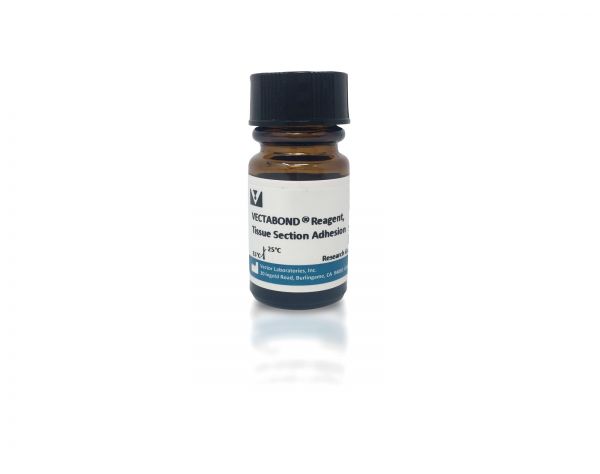 VECTABOND? Reagent, Tissue Section Adhesion