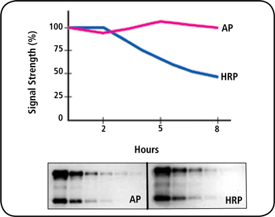 DuoLuX? Chemiluminescent and Fluorescent Substrate, Alkaline Phosphatase (AP)
