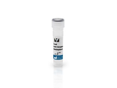 Anti-Streptavidin Antibody, Unconjugated